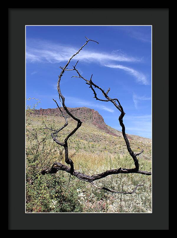 Twig Window - Framed Print
