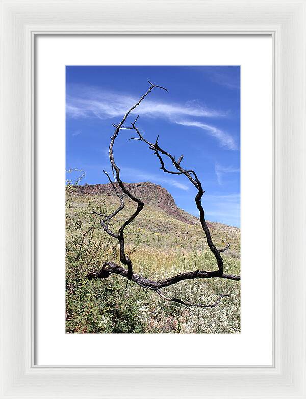 Twig Window - Framed Print