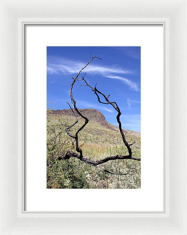 Twig Window - Framed Print