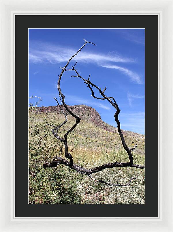 Twig Window - Framed Print