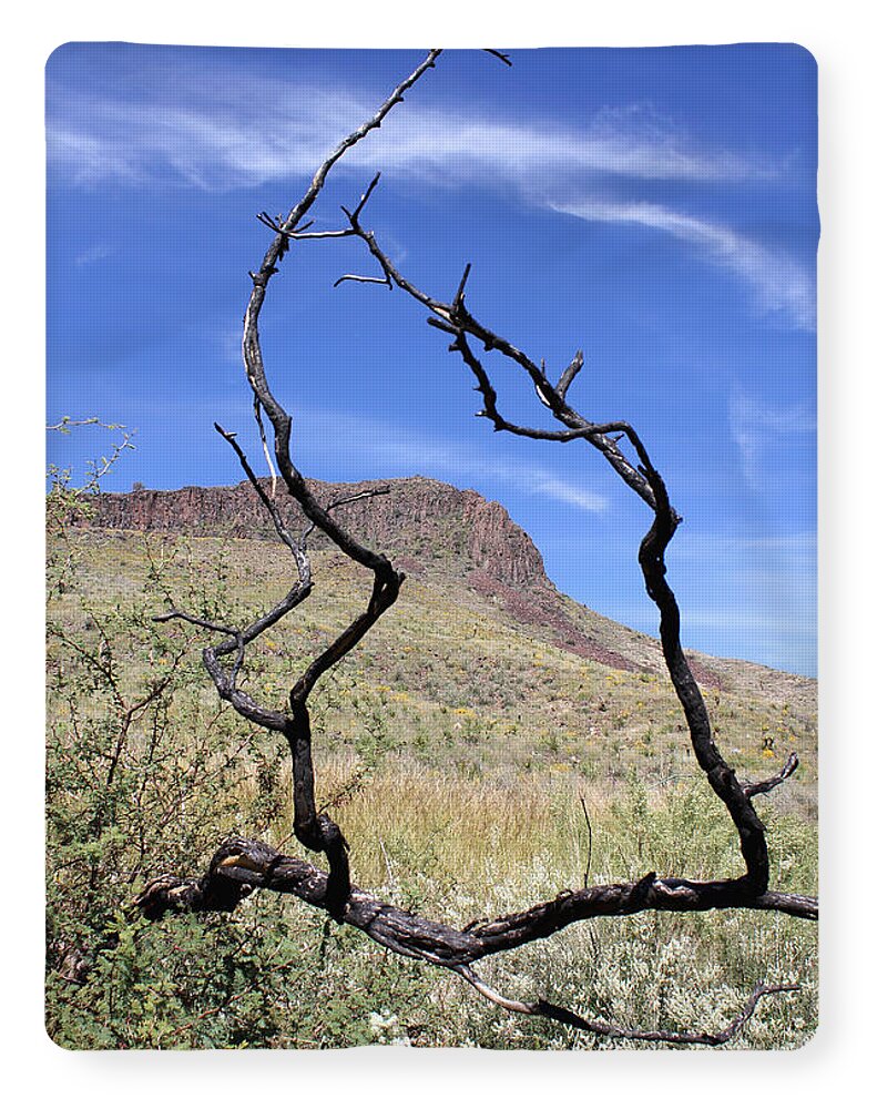 Twig Window - Blanket