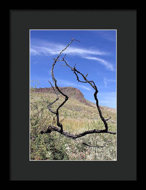 Twig Window - Framed Print