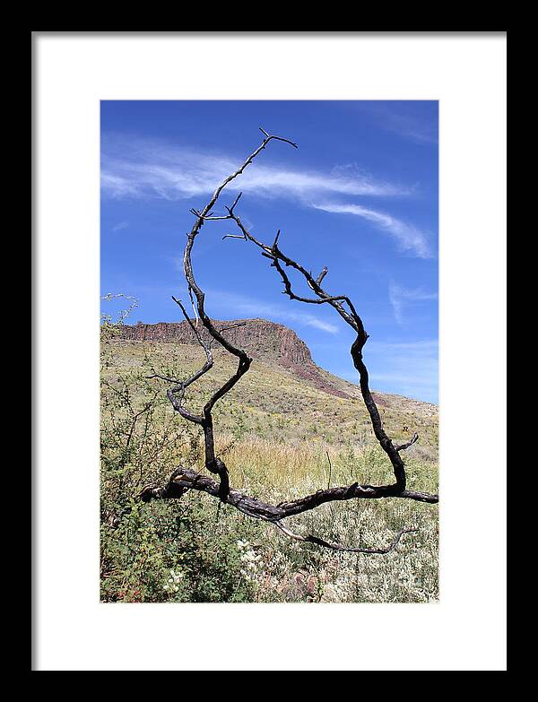 Twig Window - Framed Print