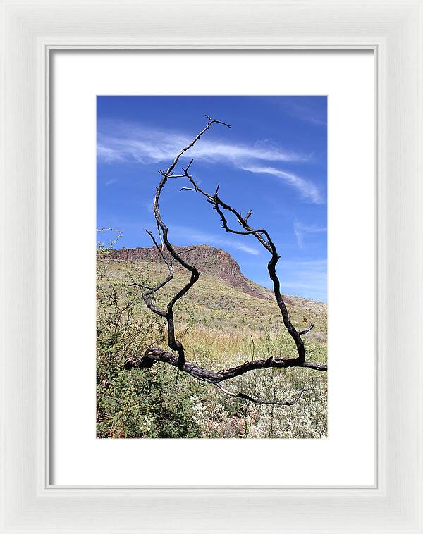 Twig Window - Framed Print