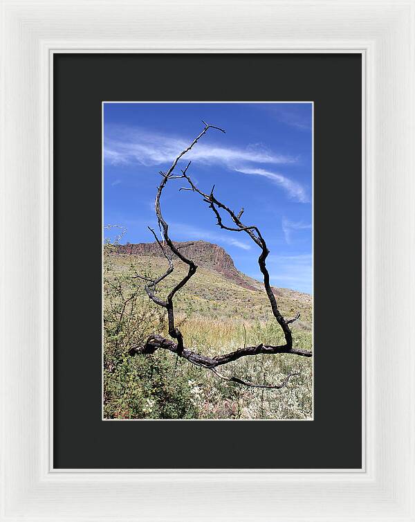 Twig Window - Framed Print