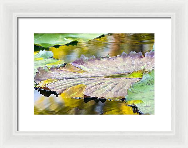Vitality - Framed Print