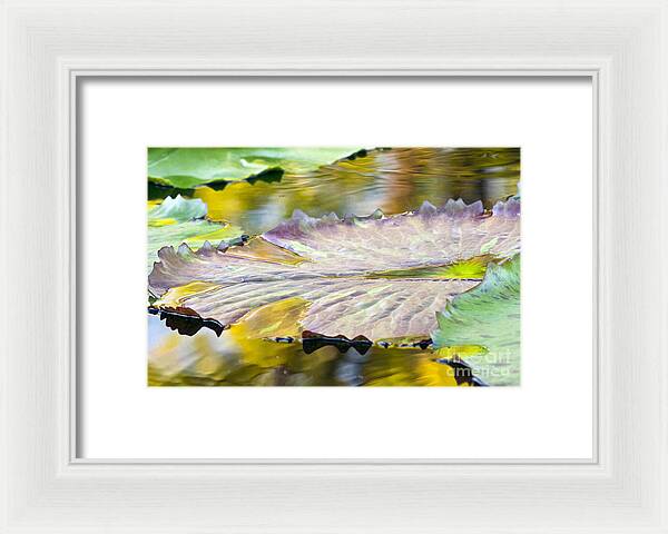 Vitality - Framed Print