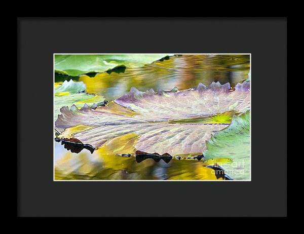 Vitality - Framed Print