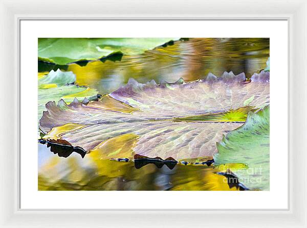 Vitality - Framed Print