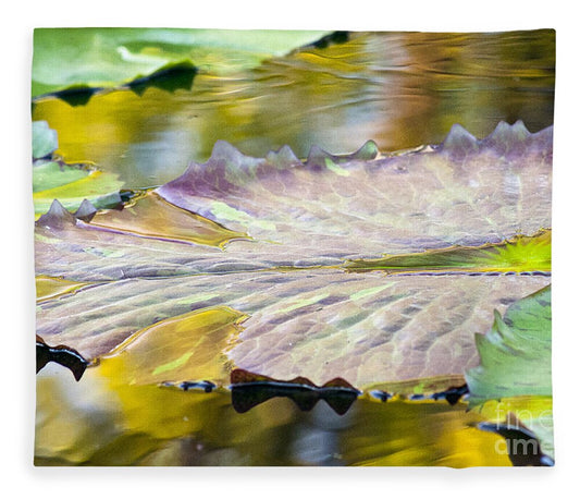 Vitality - Blanket