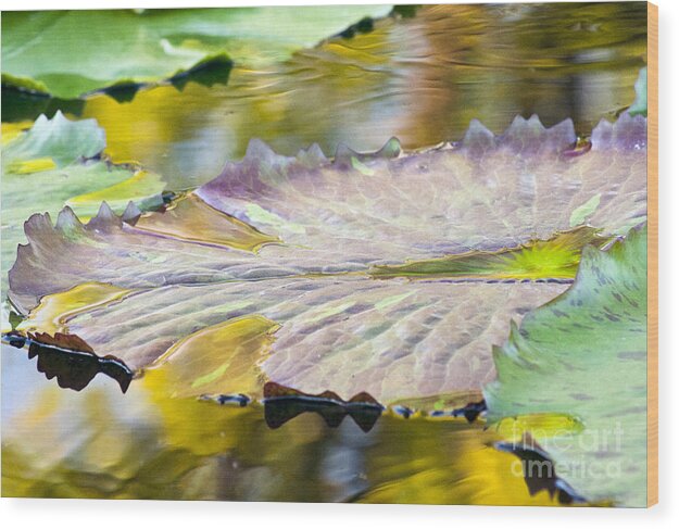 Vitality - Wood Print