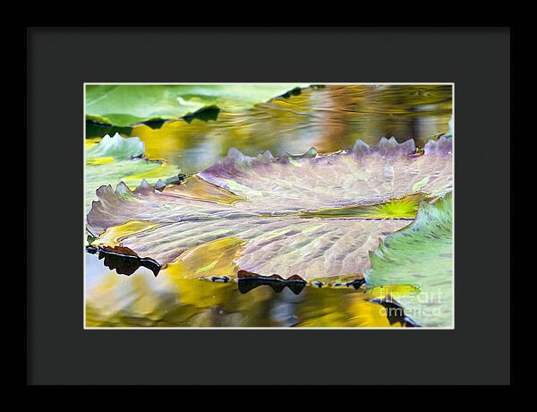 Vitality - Framed Print