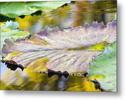 Vitality - Metal Print