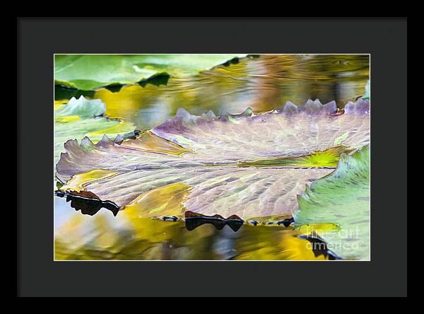 Vitality - Framed Print