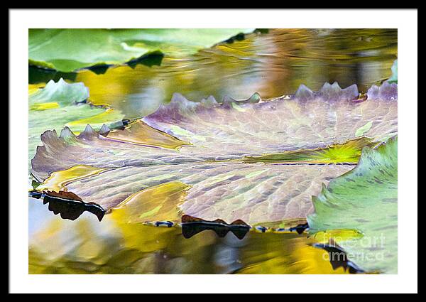 Vitality - Framed Print