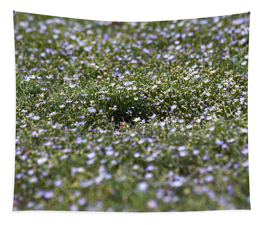 Wild Joy - Tapestry