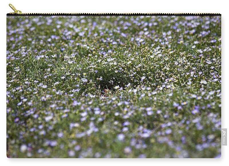 Wild Joy - Zip Pouch
