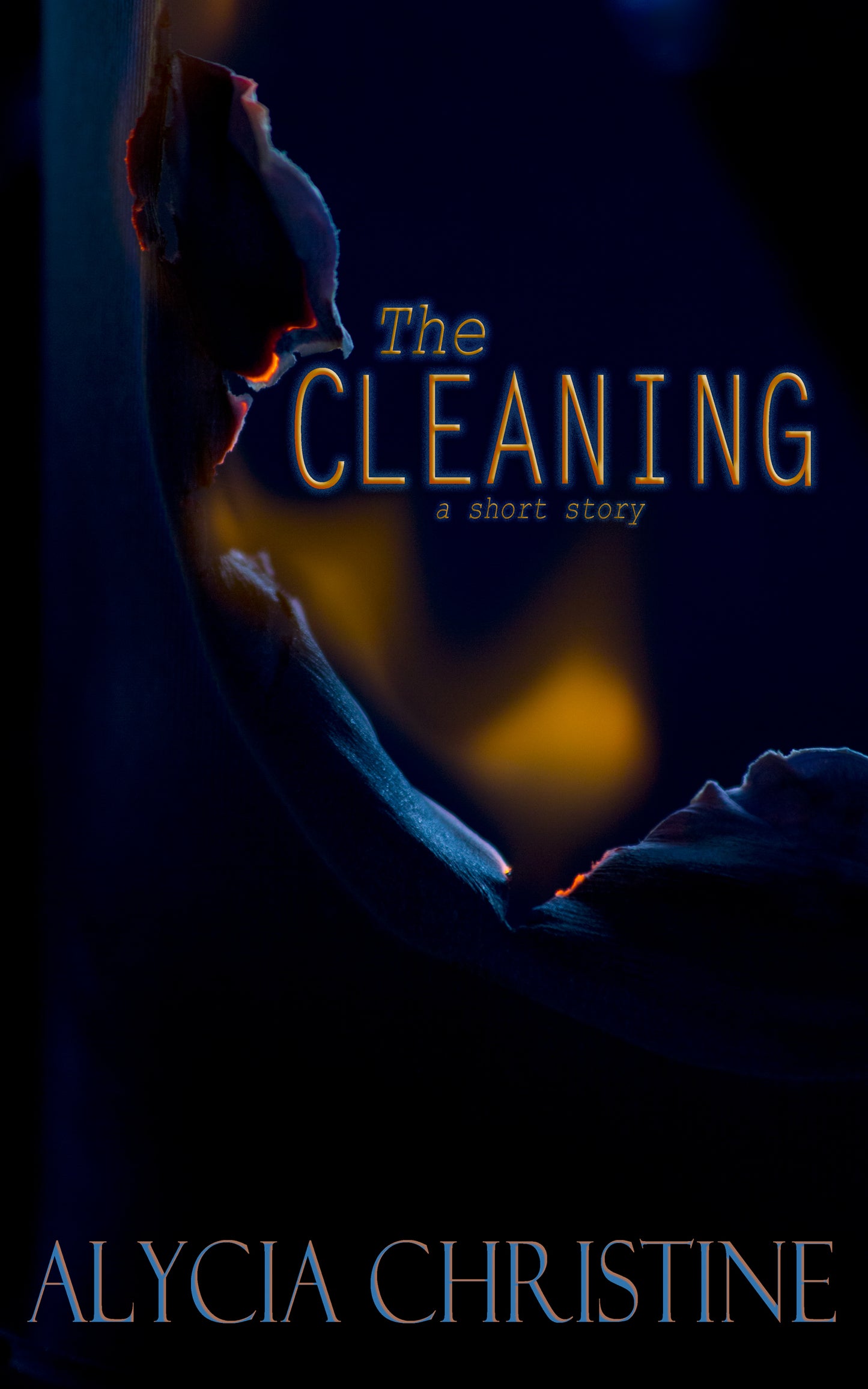 The Cleaning Short Story
