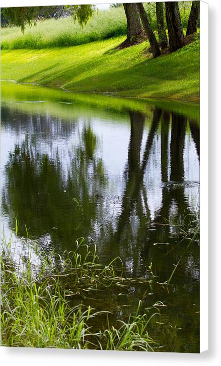 Afternoon Reflections - Canvas Print