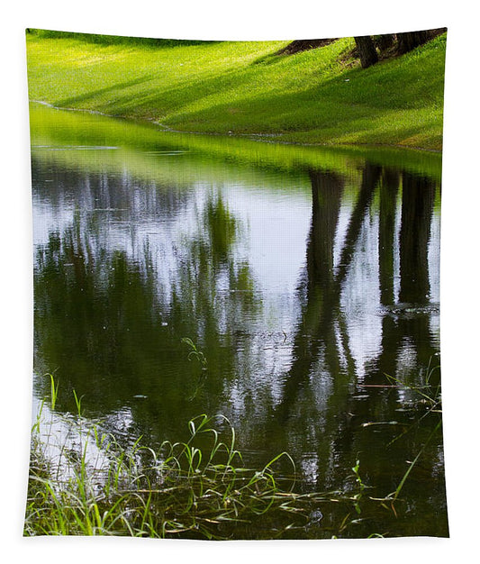 Afternoon Reflections - Tapestry
