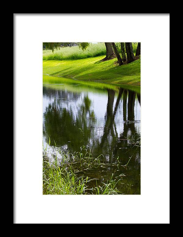 Afternoon Reflections - Framed Print
