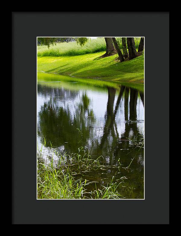 Afternoon Reflections - Framed Print