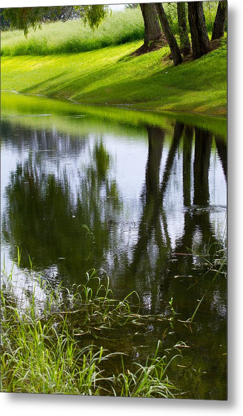 Afternoon Reflections - Metal Print