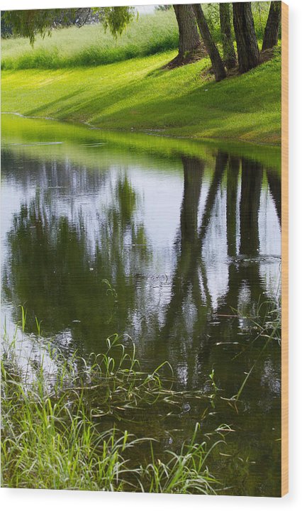 Afternoon Reflections - Wood Print