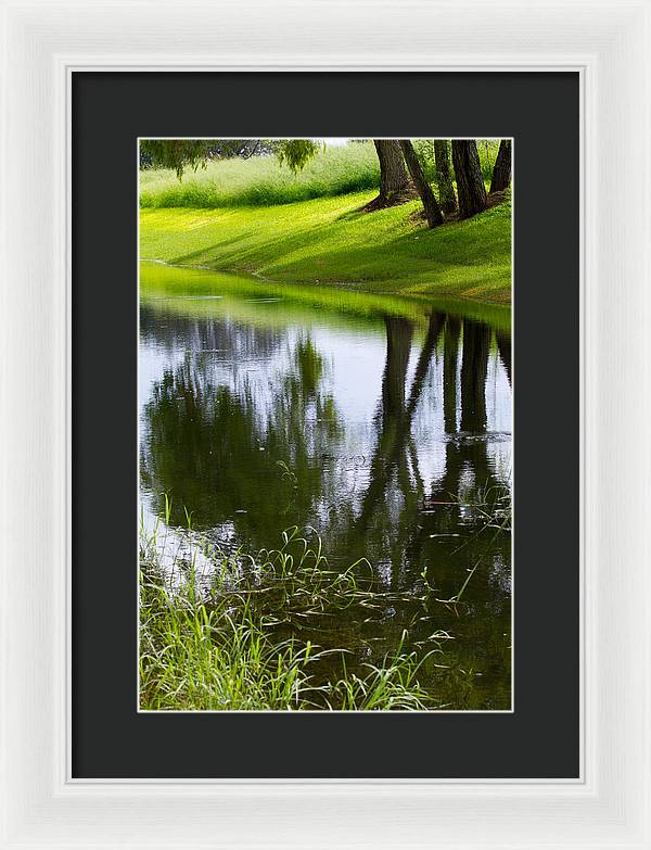 Afternoon Reflections - Framed Print