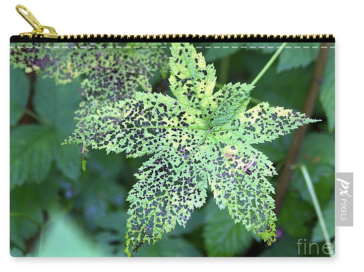Leaf Lace - Carry-All Pouch