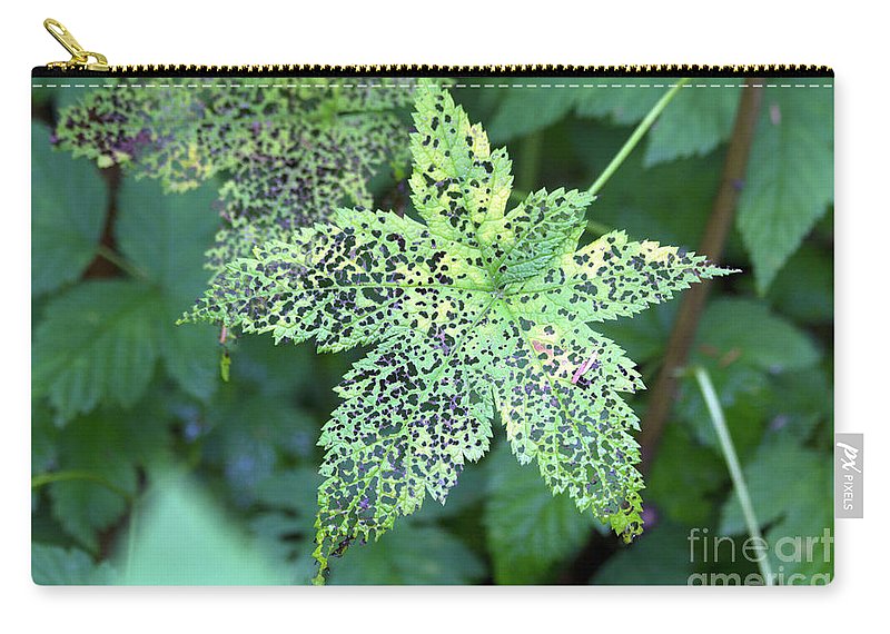 Leaf Lace - Carry-All Pouch