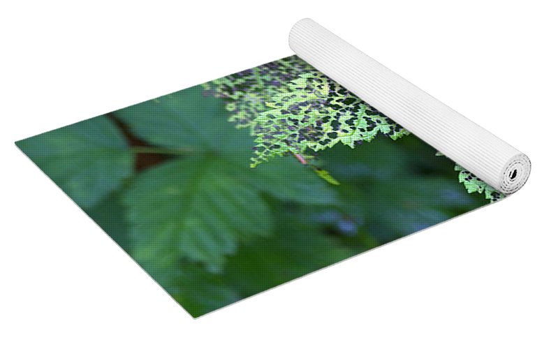 Leaf Lace - Yoga Mat
