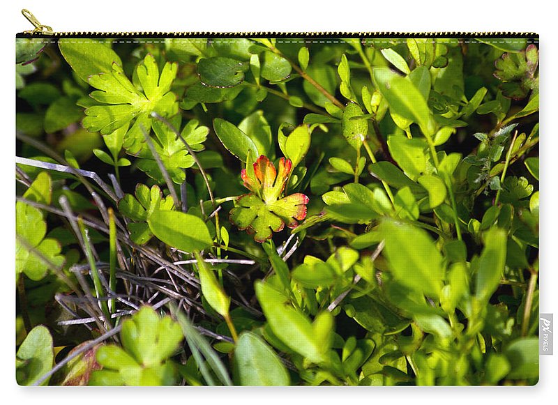 Red Tipped Clover - Carry-All Pouch