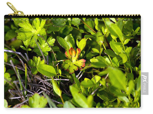 Red Tipped Clover - Carry-All Pouch